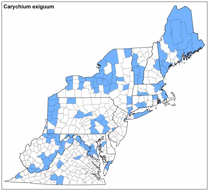 Carychium exiguum Range Map